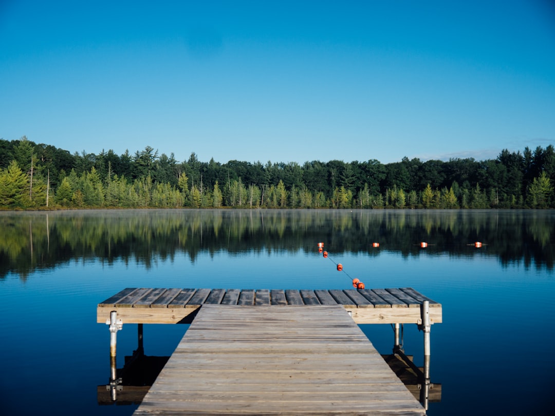 Wooded fishing pond with dock